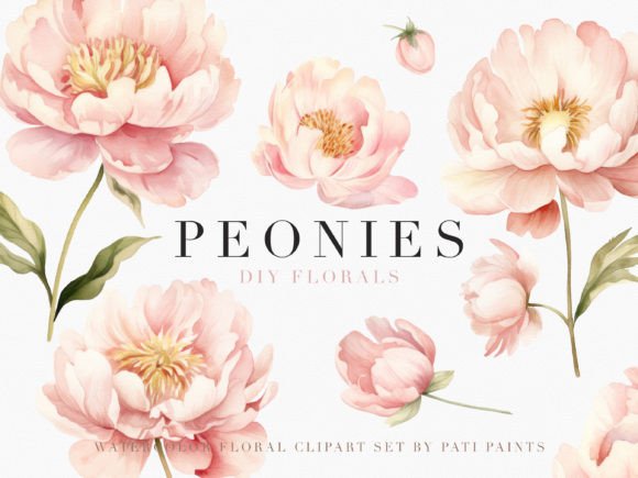 Download Watercolor Dusty Pink Peonies Cliparts - Dusty pink Collection