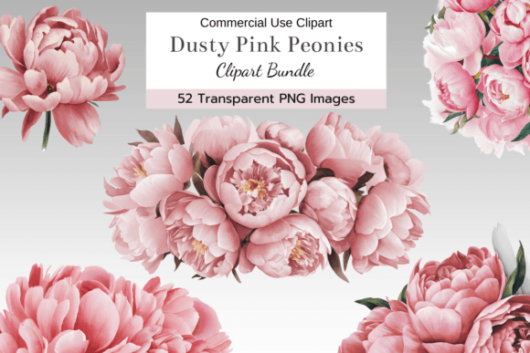 Download Dusty Pink Peony Clipart Bundle - Dusty pink Collection